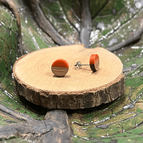 Unsere Minis - Holzohrstecker mit Resin - wood stud - Holzohrringe - Holzschmuck und mehr