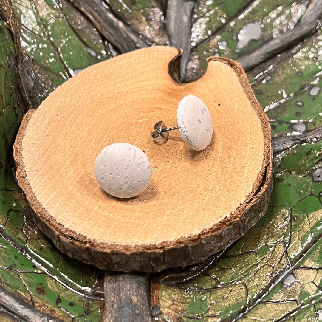 Korkohrstecker Schneeweiß - wood stud - Holzohrringe - Holzschmuck und mehr