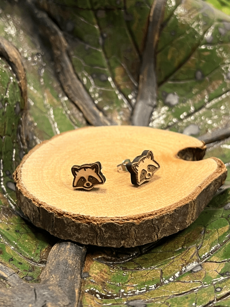 Waschbär Holzohrstecker - wood stud - Holzohrringe - Holzschmuck und mehr